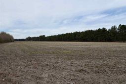 Mta 5 Heustess Rd photo 4