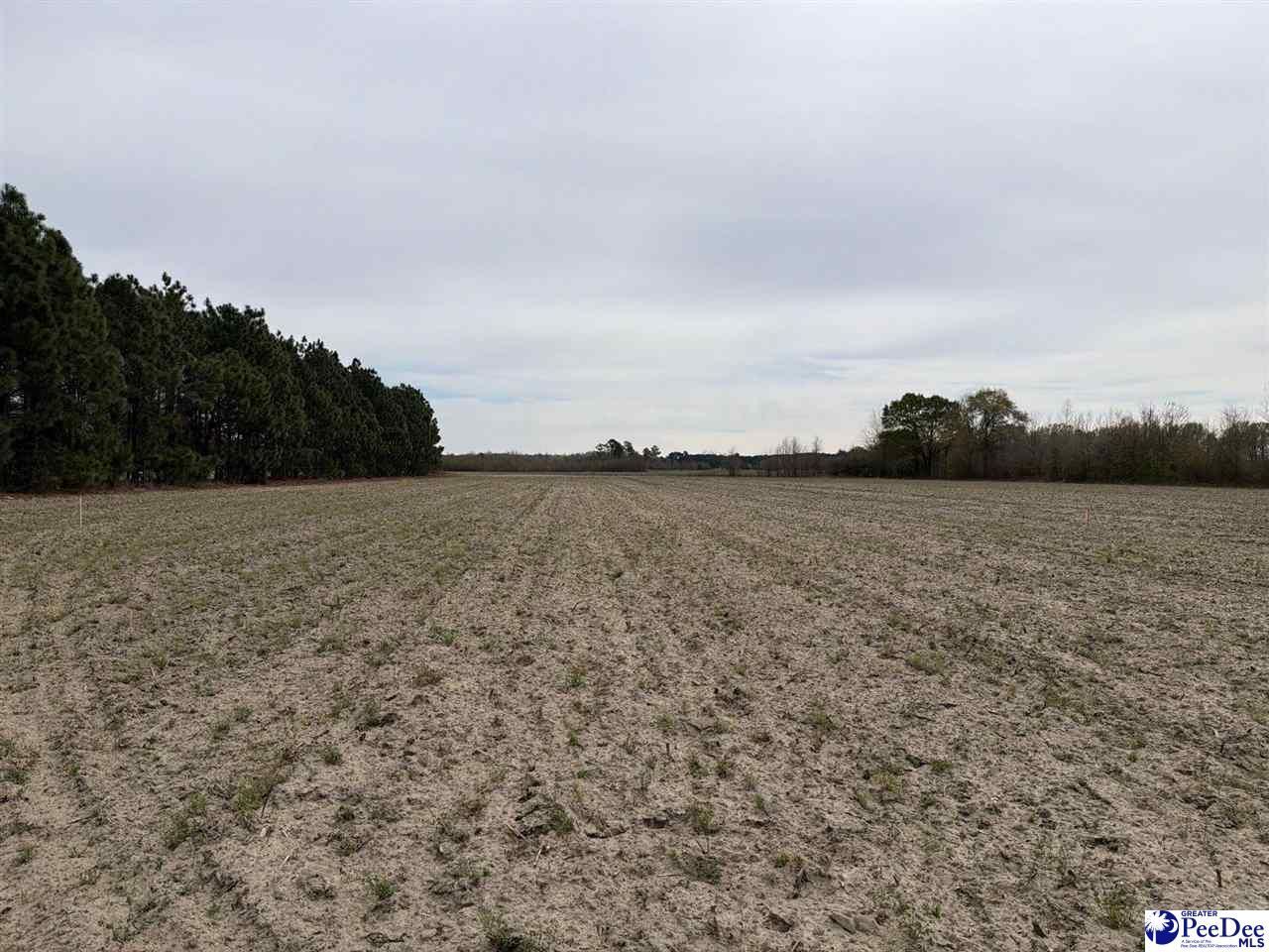 Mta 5 Heustess Rd Photo 20