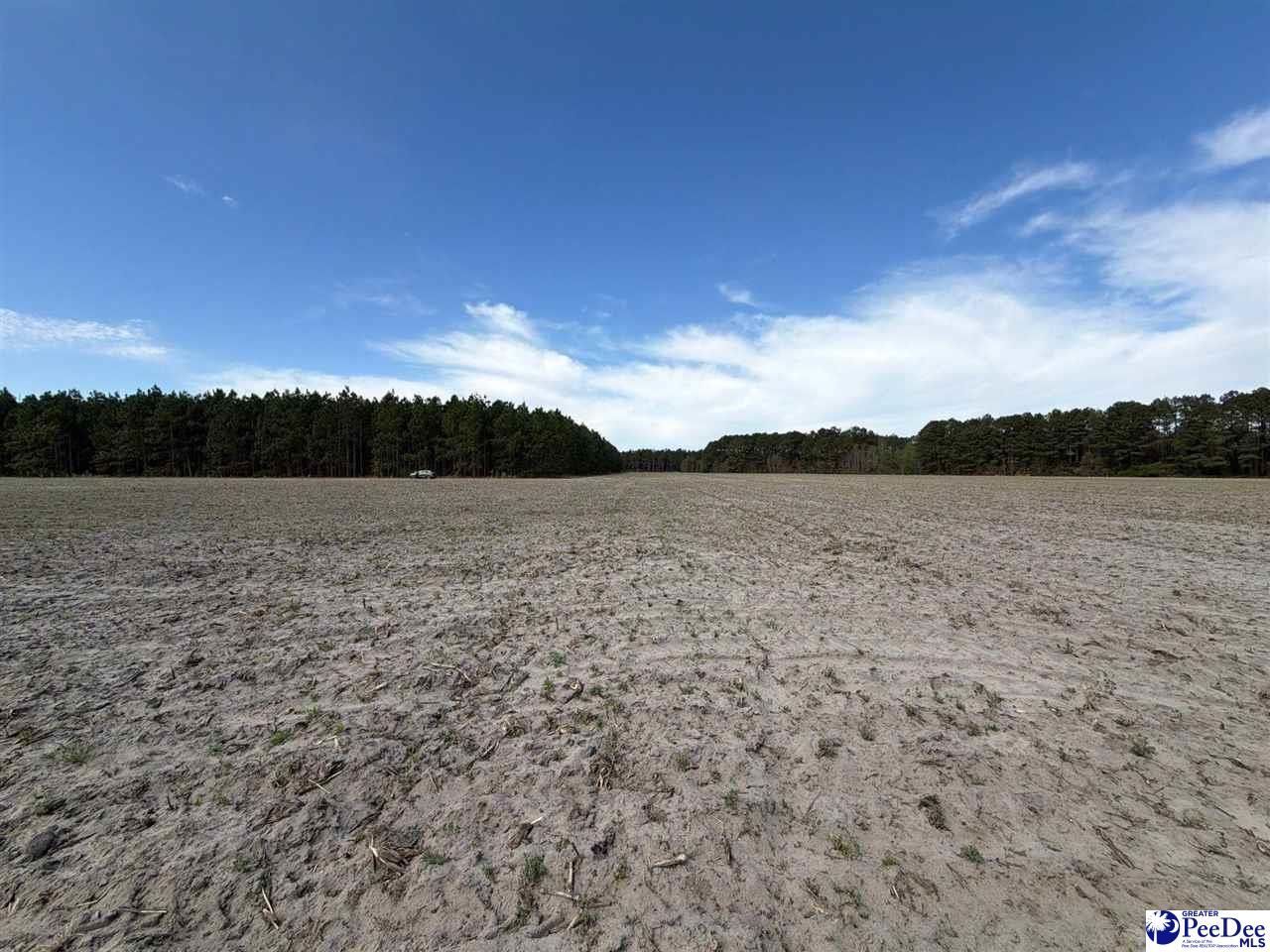 Mta 5 Heustess Rd Photo 21