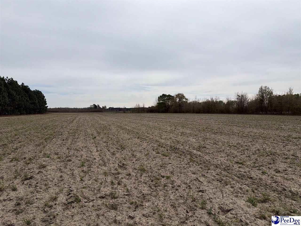 Mta 5 Heustess Rd Photo 22