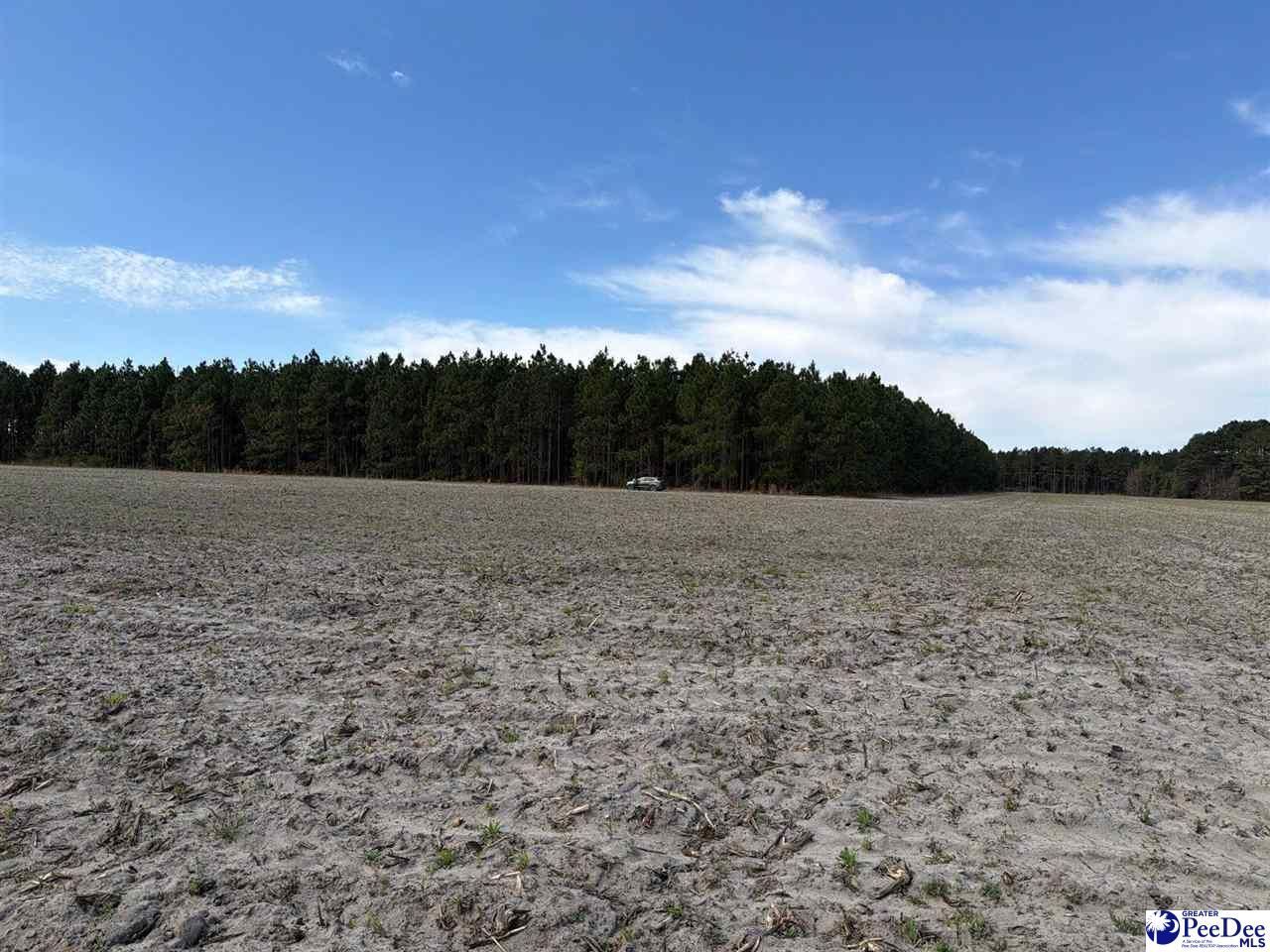 Mta 5 Heustess Rd Photo 23