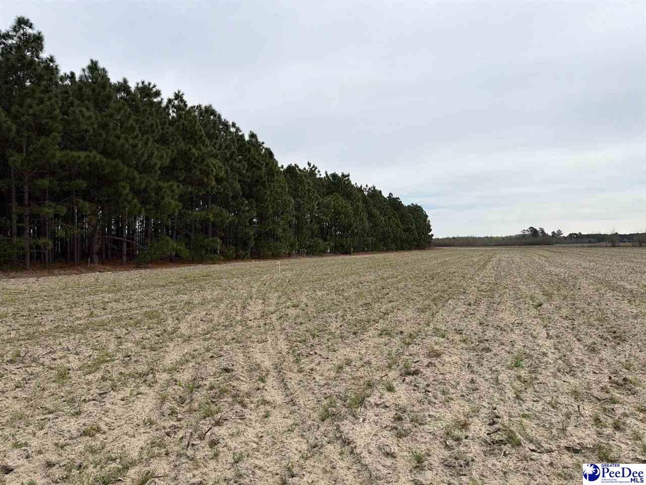 Mta 5 Heustess Rd Photo 24