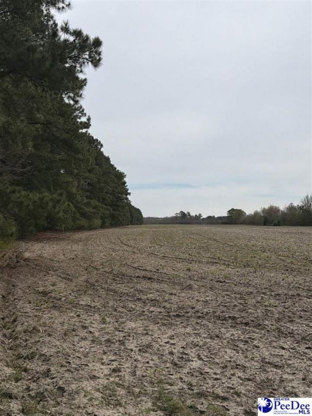 Mta 5 Heustess Rd Photo 25