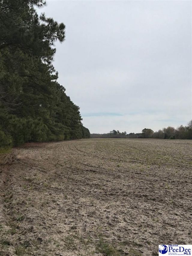 Mta 5 Heustess Rd Photo 26