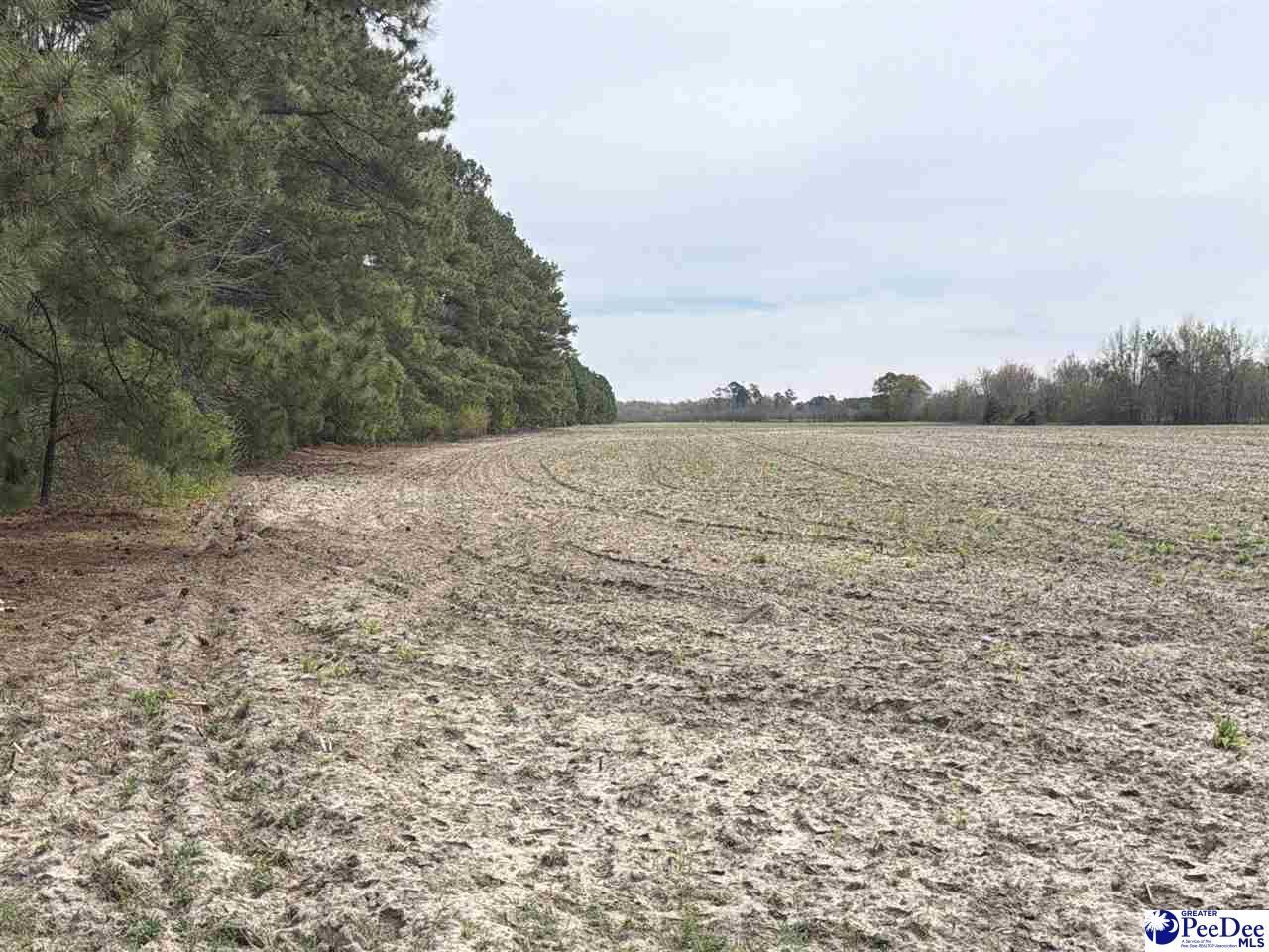 Mta 5 Heustess Rd Photo 27