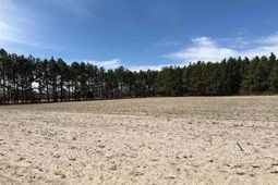 Mta 5 Heustess Rd photo 4