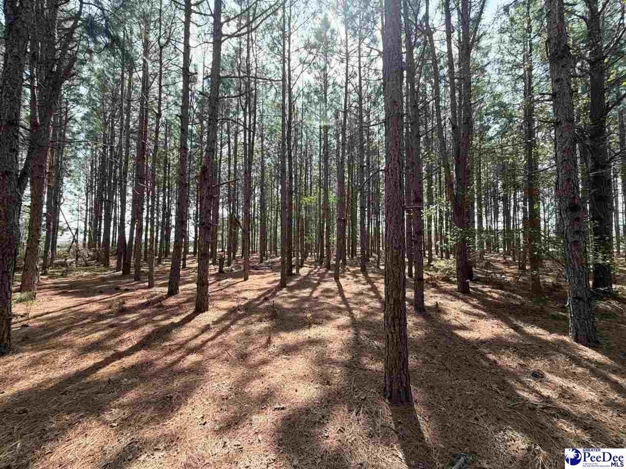 Mta 5 Heustess Rd Photo 30