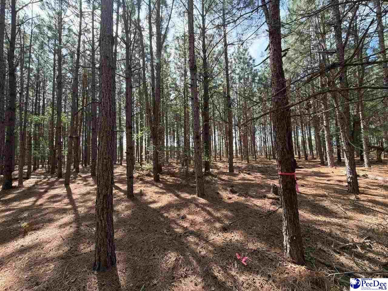 Mta 5 Heustess Rd Photo 31