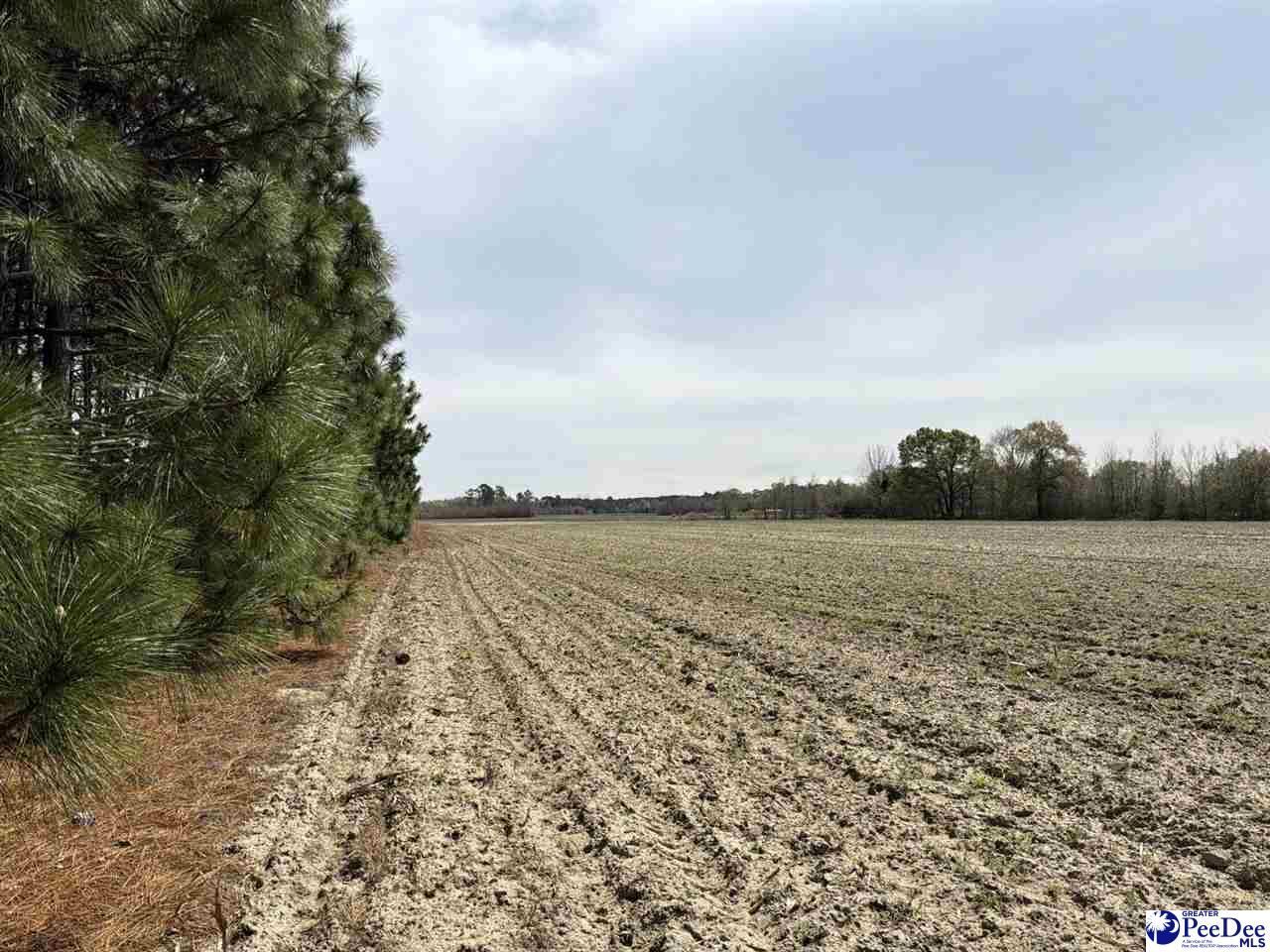 Mta 5 Heustess Rd Photo 32