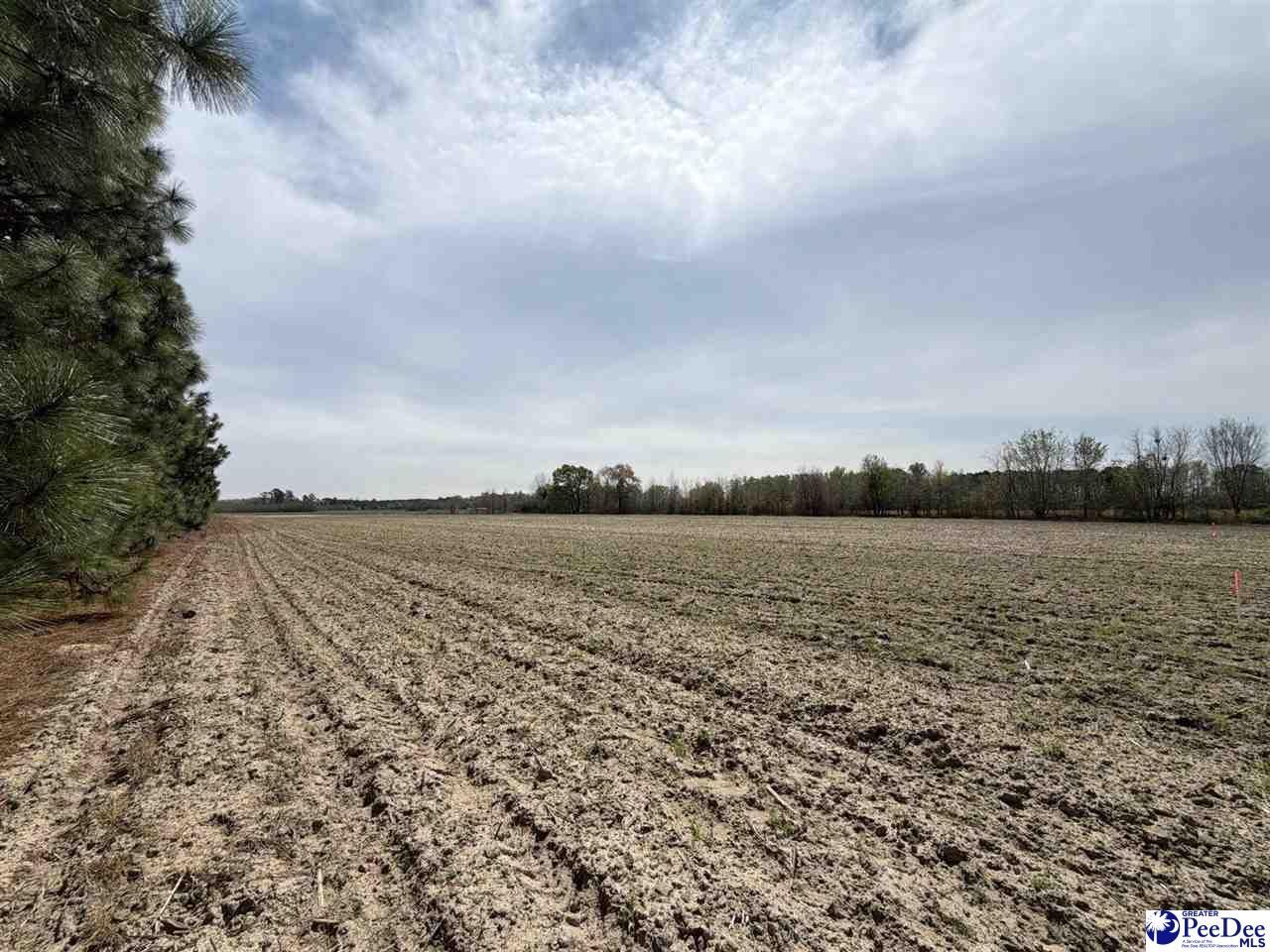 Mta 5 Heustess Rd Photo 33