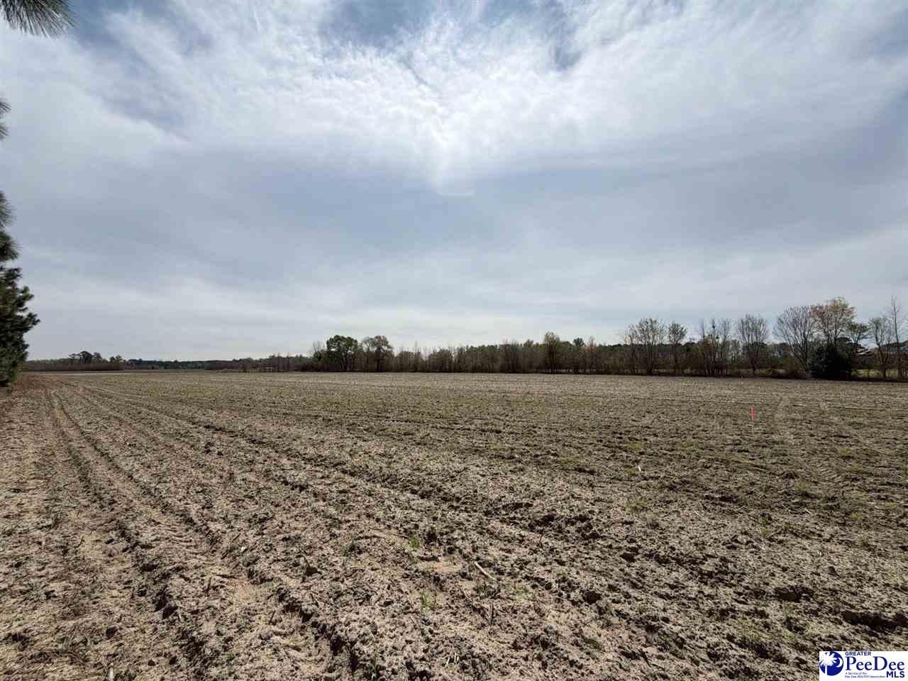 Mta 5 Heustess Rd Photo 34