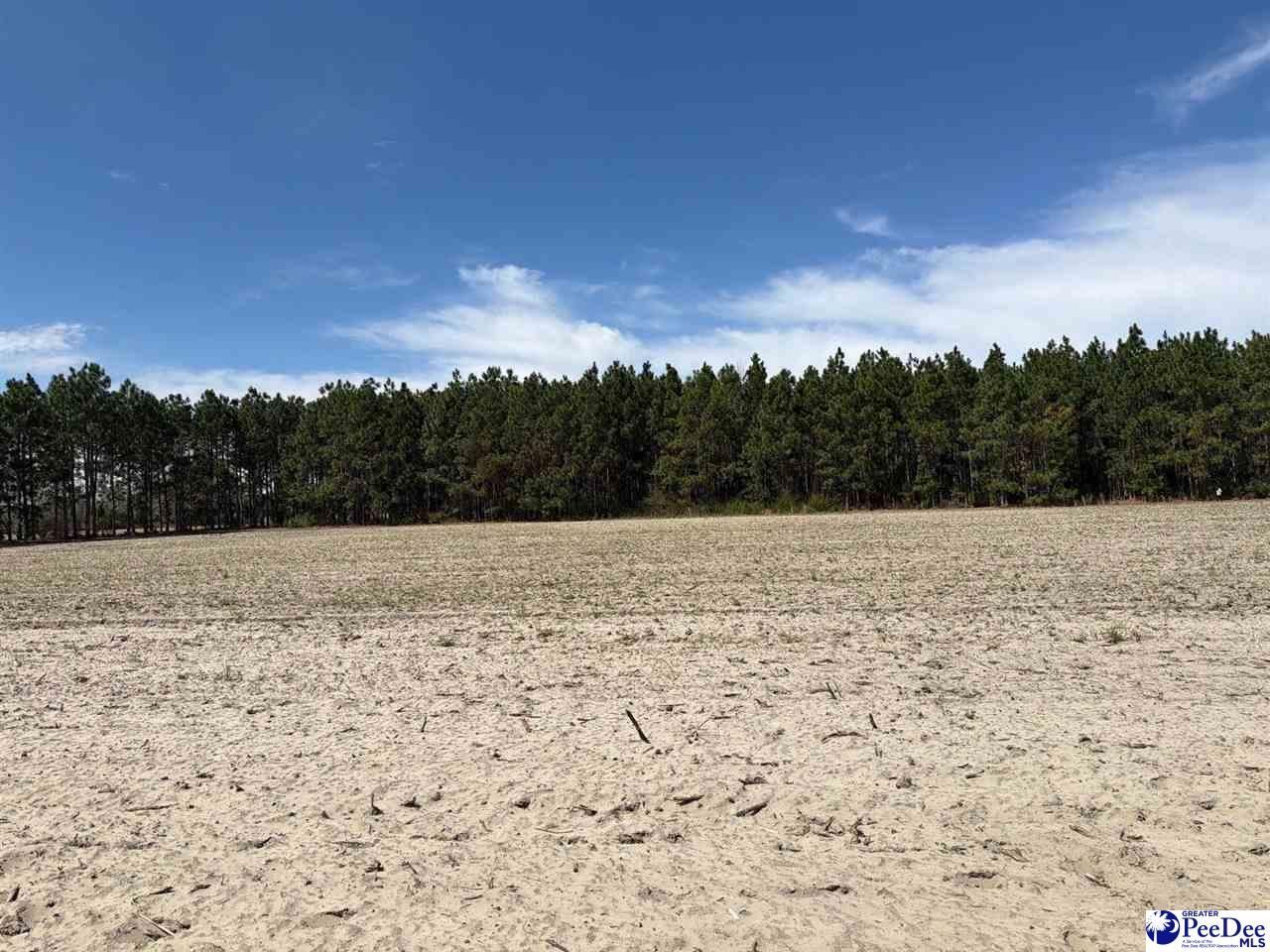 Mta 5 Heustess Rd Photo 35