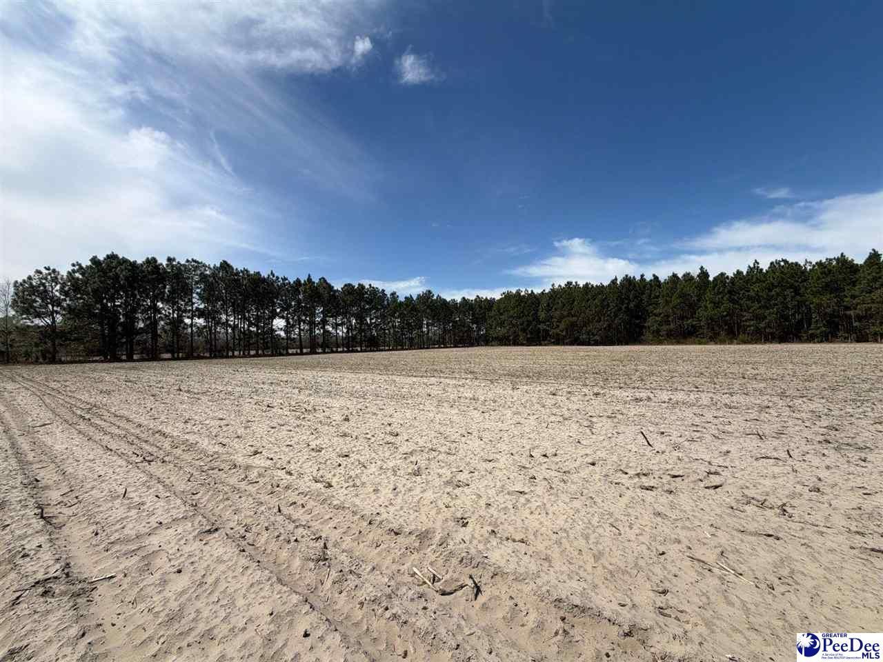 Mta 5 Heustess Rd Photo 36