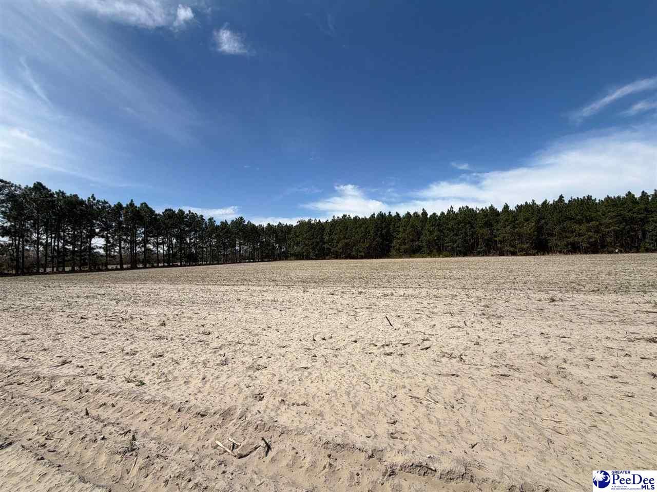 Mta 5 Heustess Rd Photo 37