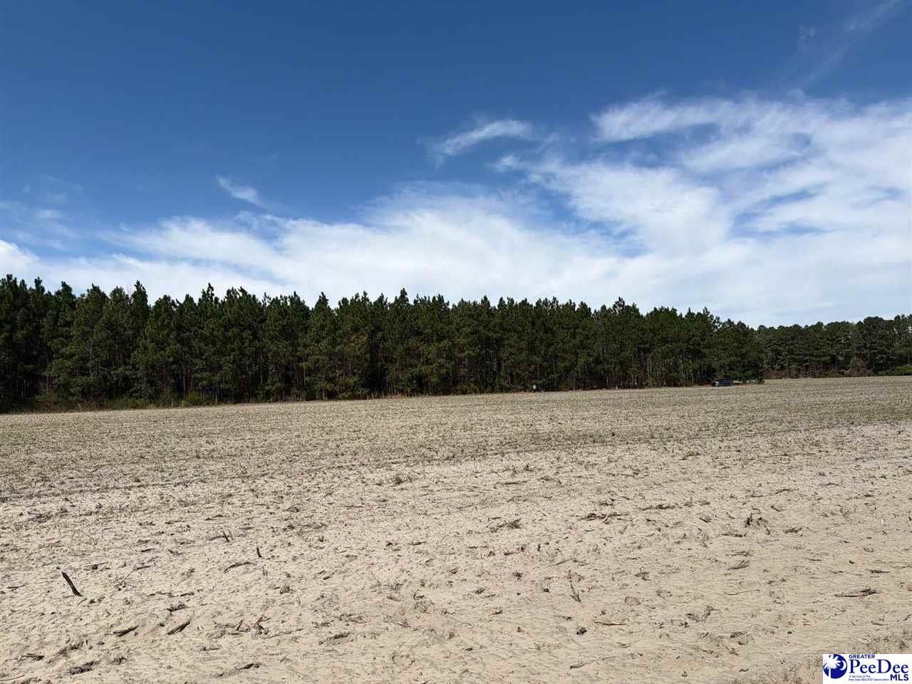 Mta 5 Heustess Rd Photo 38