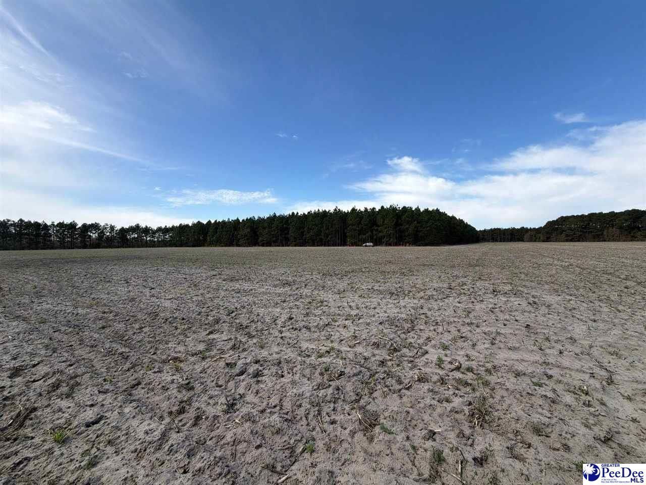 Mta 5 Heustess Rd Photo 39