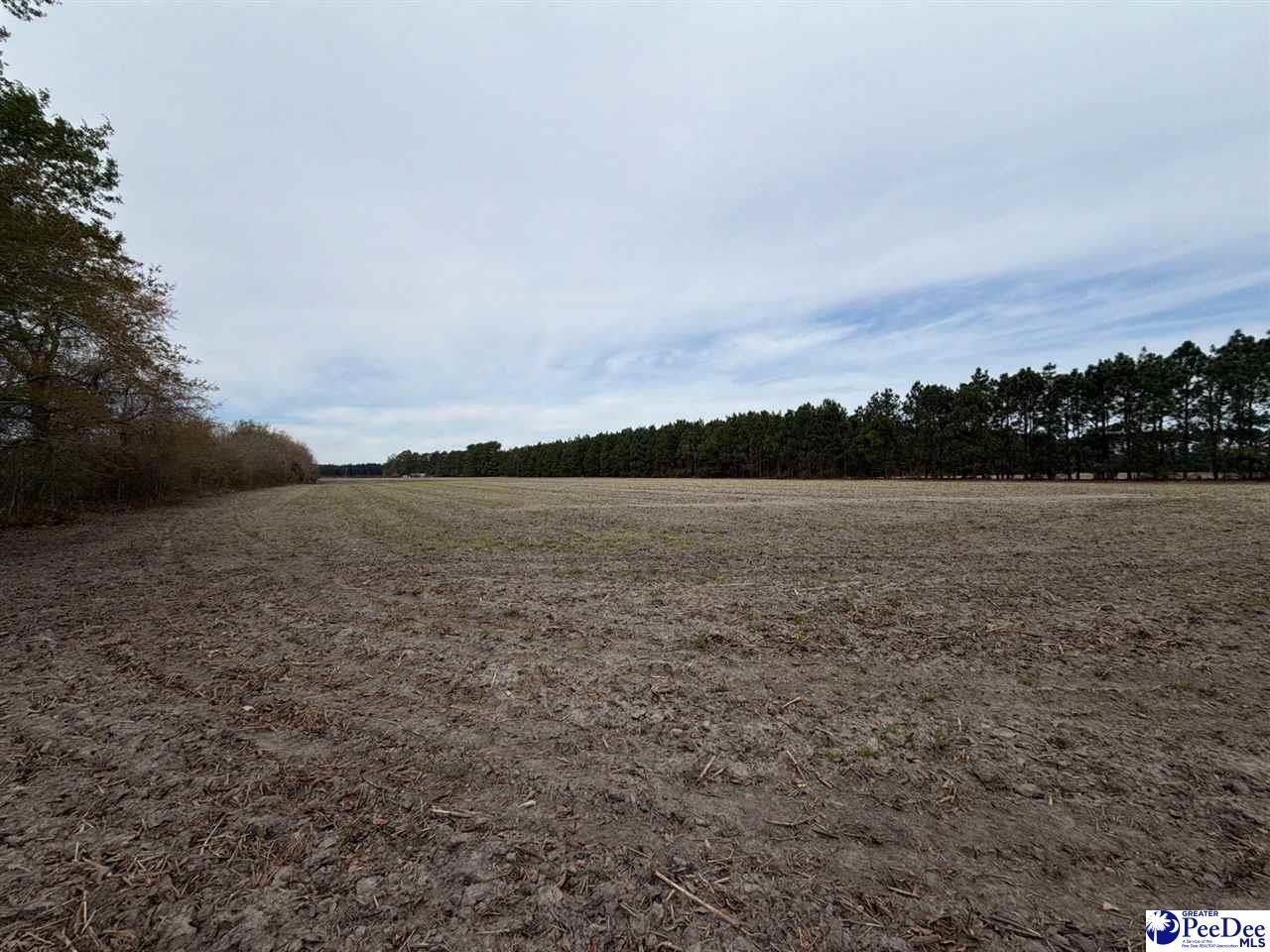 Mta 5 Heustess Rd Photo 4