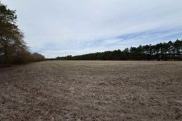 Mta 5 Heustess Rd photo 4