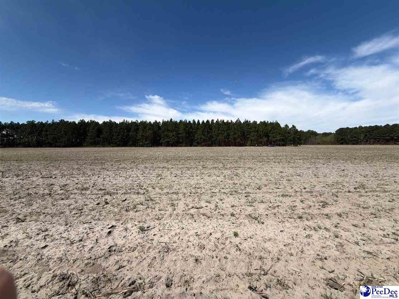 Mta 5 Heustess Rd Photo 40