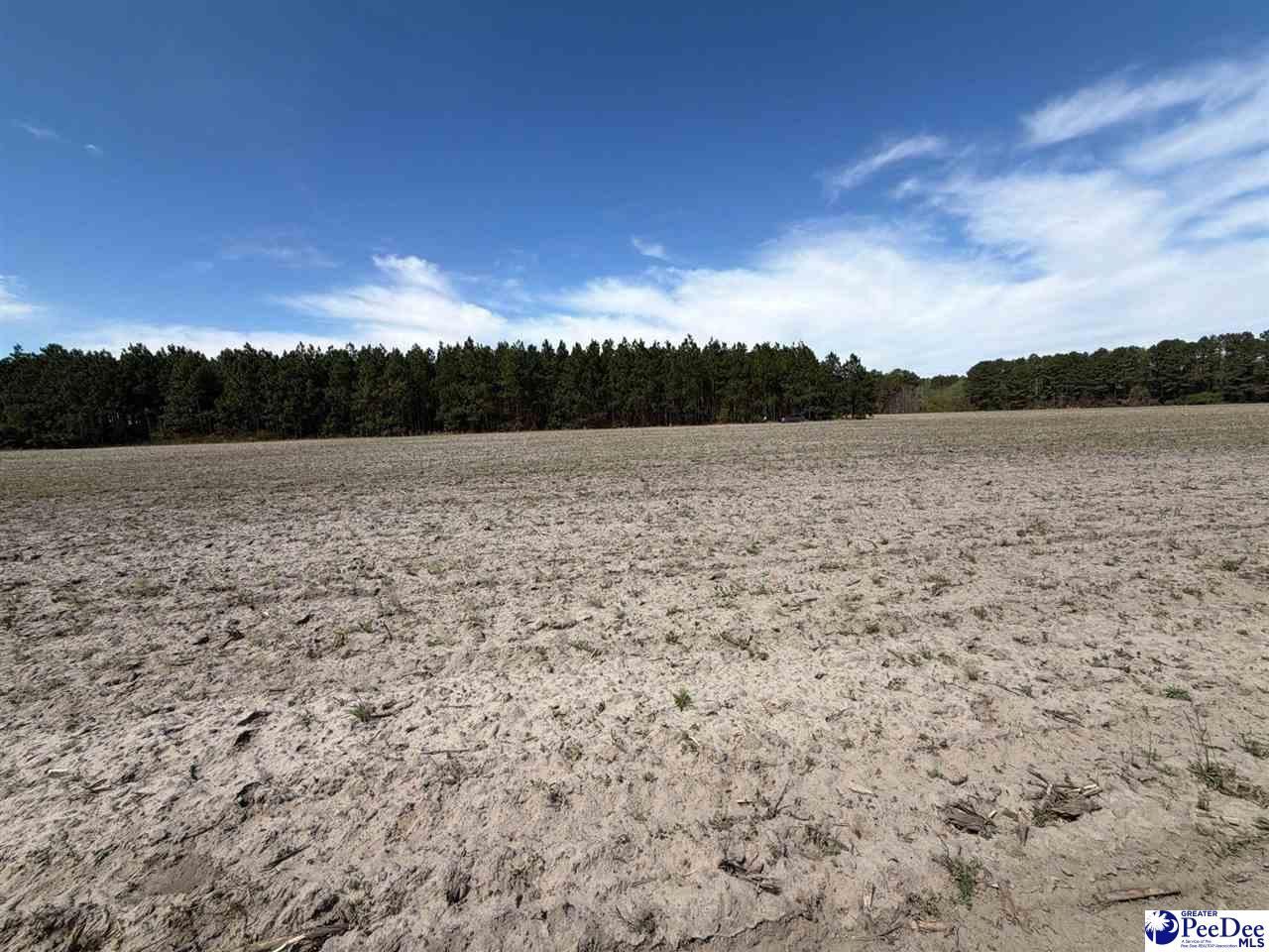 Mta 5 Heustess Rd Photo 41