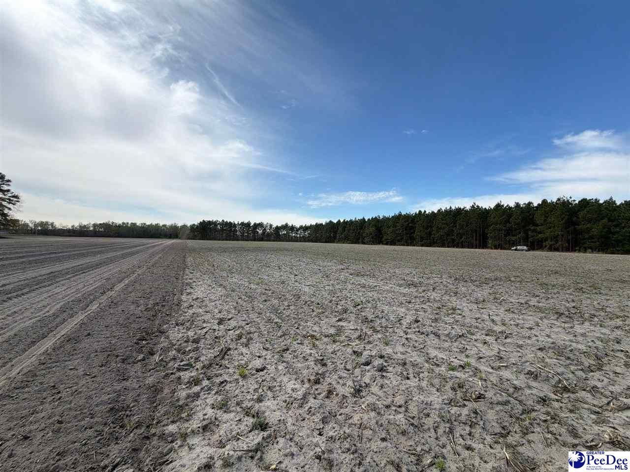 Mta 5 Heustess Rd Photo 43