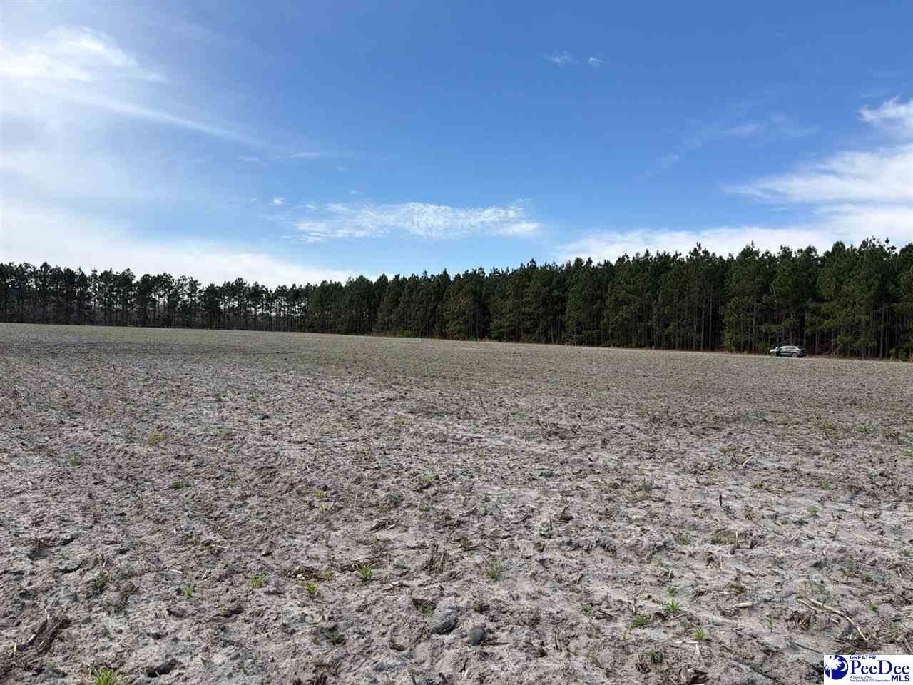 Mta 5 Heustess Rd Photo 44