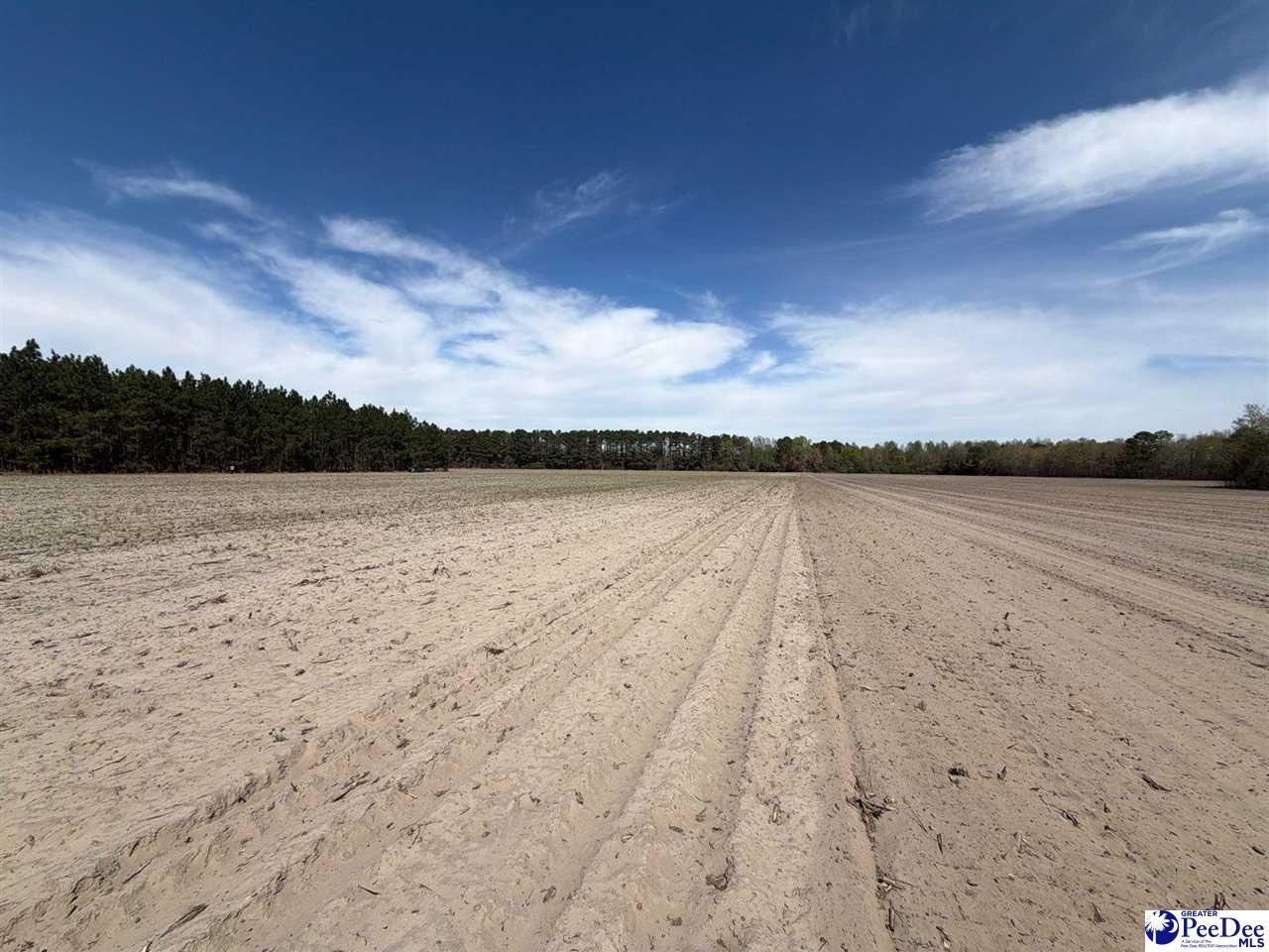 Mta 5 Heustess Rd Photo 5