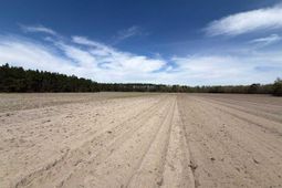 Mta 5 Heustess Rd photo 4