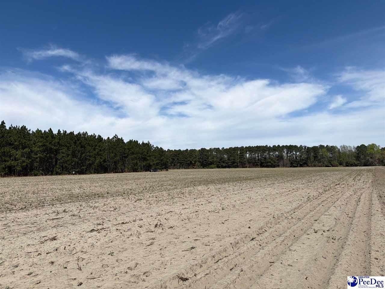 Mta 5 Heustess Rd Photo 6