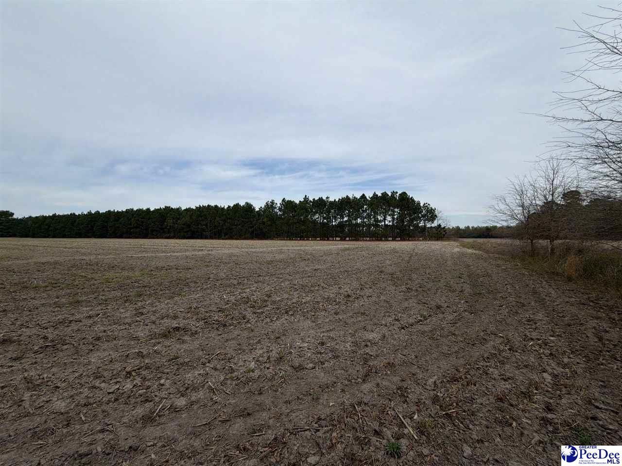 Mta 5 Heustess Rd Photo 7