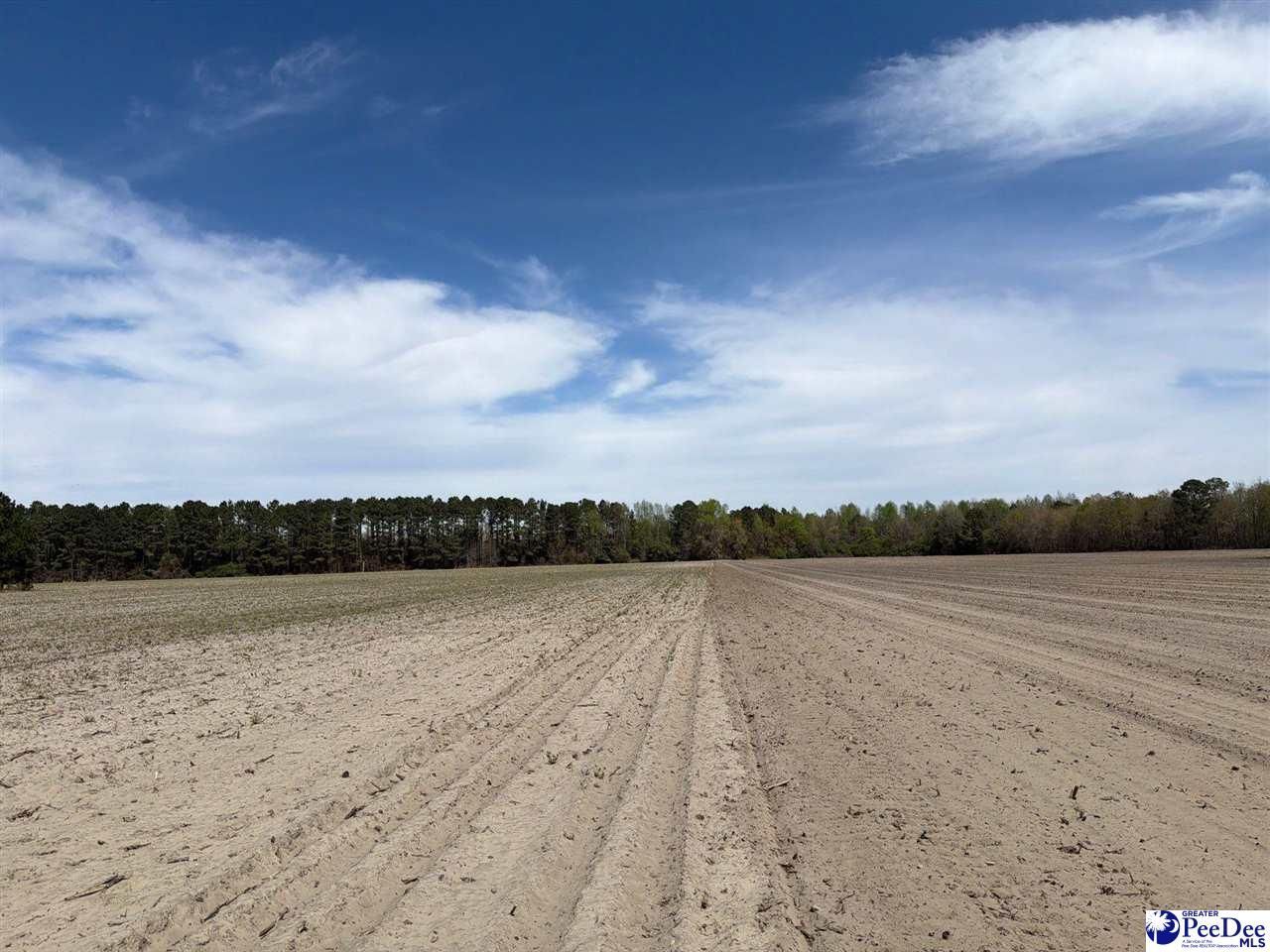 Mta 5 Heustess Rd Photo 8