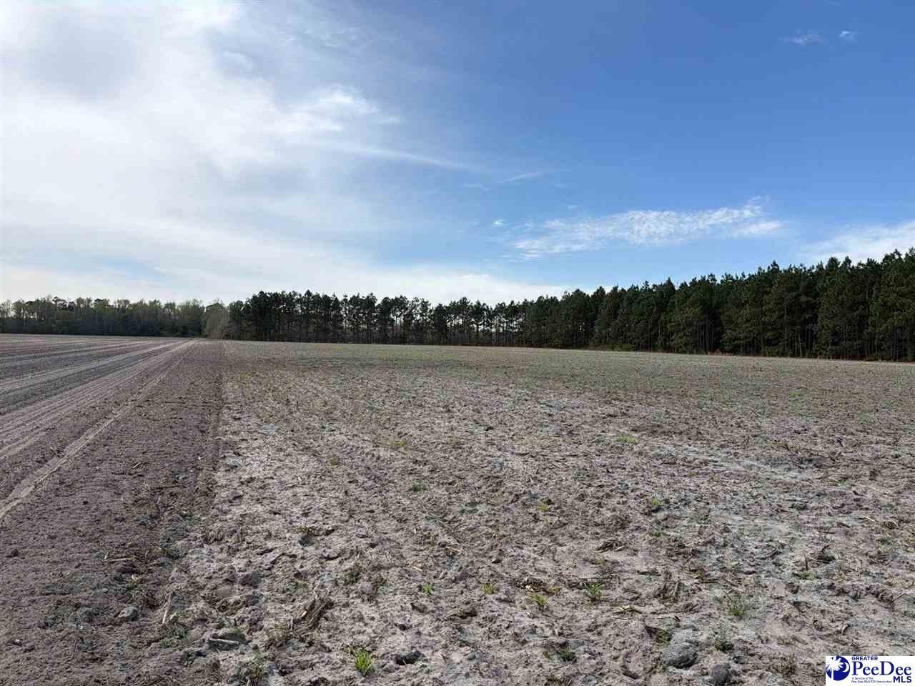 Mta 5 Heustess Rd Photo 9