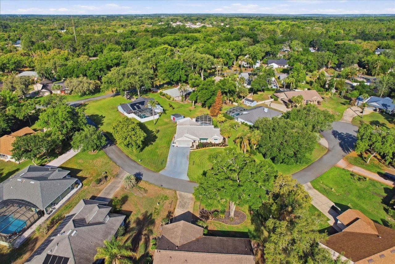 35103 Riverside Court, Leesburg, FL 34788 Photo