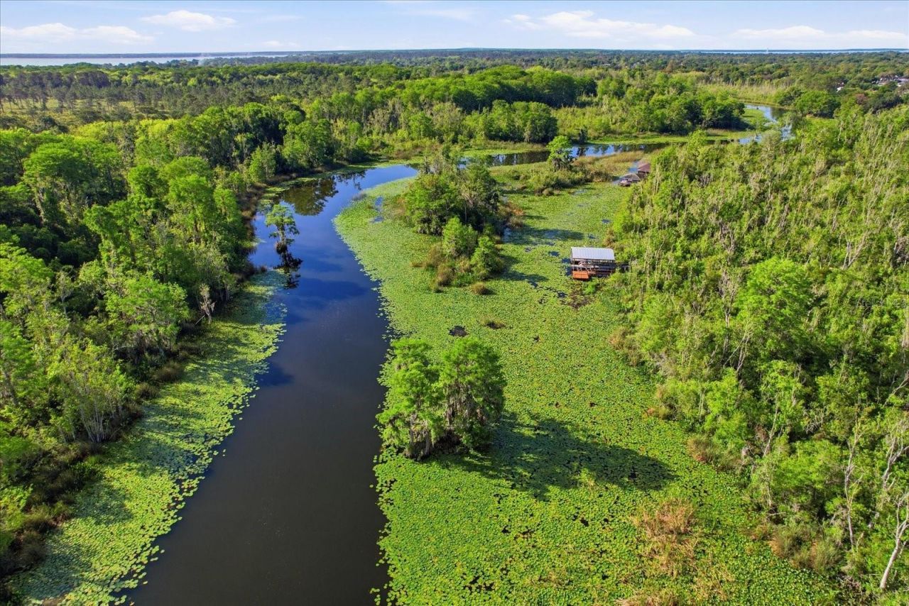 35103 Riverside Court, Leesburg, FL 34788 Photo