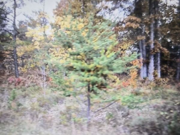 Lot 36 Northwood Drive, Grayling, MI 49738