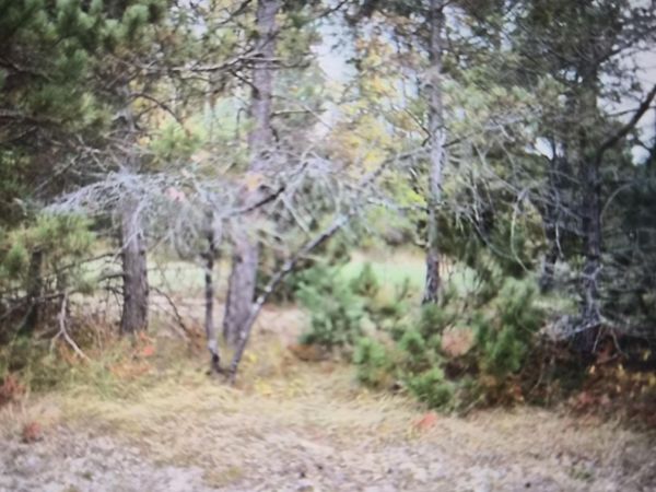 Lot 39 Northwood Drive, Grayling, MI 49738