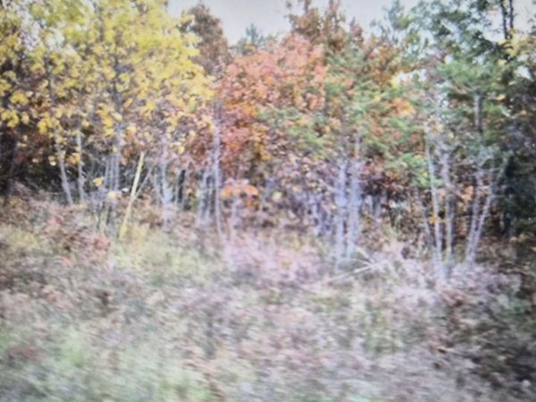 Lot 40 Northwood Drive, Grayling, MI 49738
