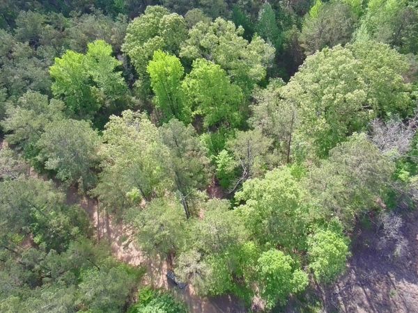 New Light, Sturgis, MS 39769