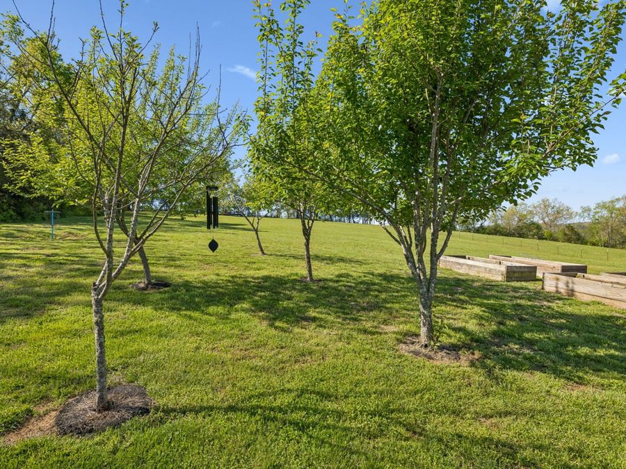 Property Image 52