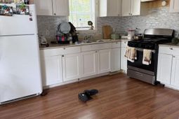 1255 Remount Road photo 4