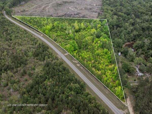 14.3+/-Ac Willow Dr., Richton, MS 39476