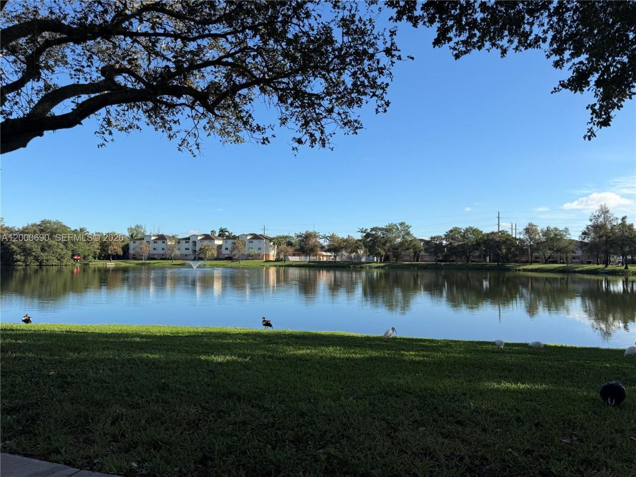 3670 N 56th Ave, Unit 705, Hollywood, FL 33021 Photo