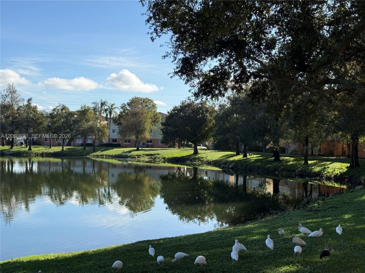 3670 N 56th Ave, Unit 705, Hollywood, FL 33021 Photo