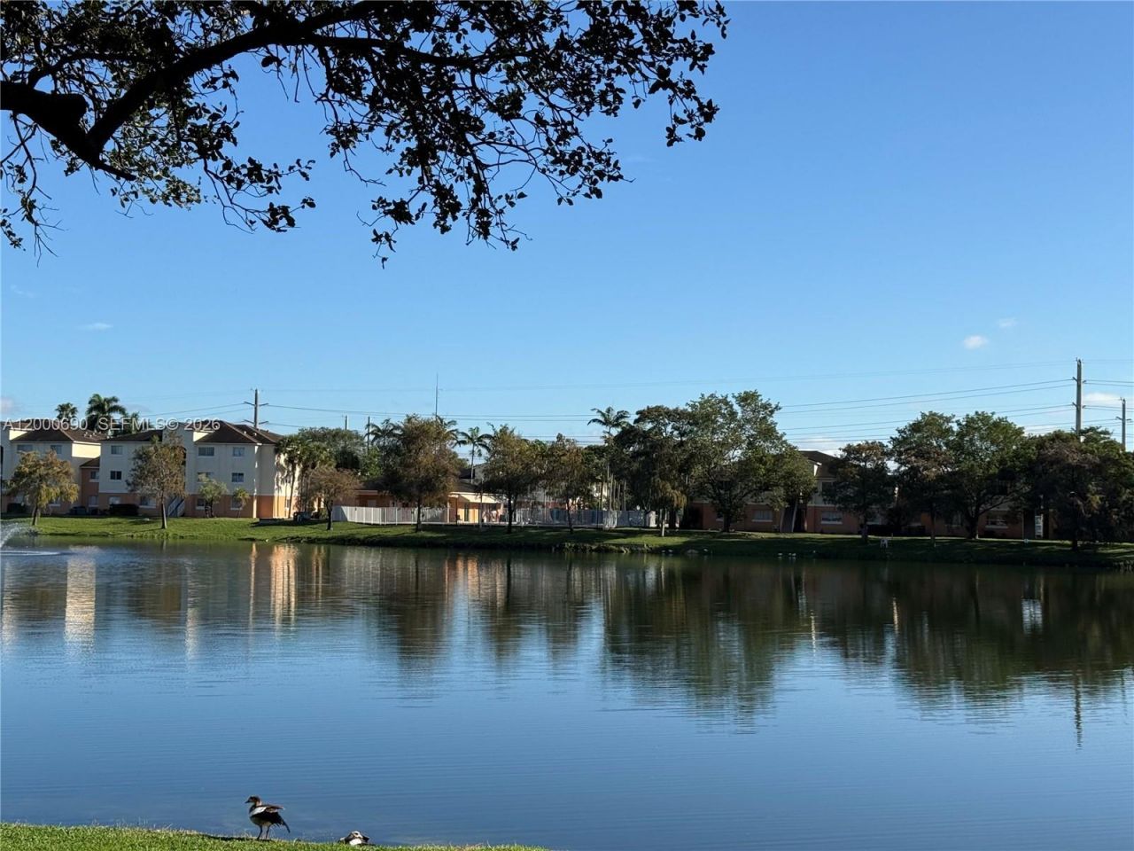 3670 N 56th Ave, Unit 705, Hollywood, FL 33021 Photo