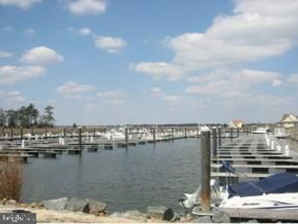 29664 COLONY DRIVE , Unit C-8, DAGSBORO, DE 19970