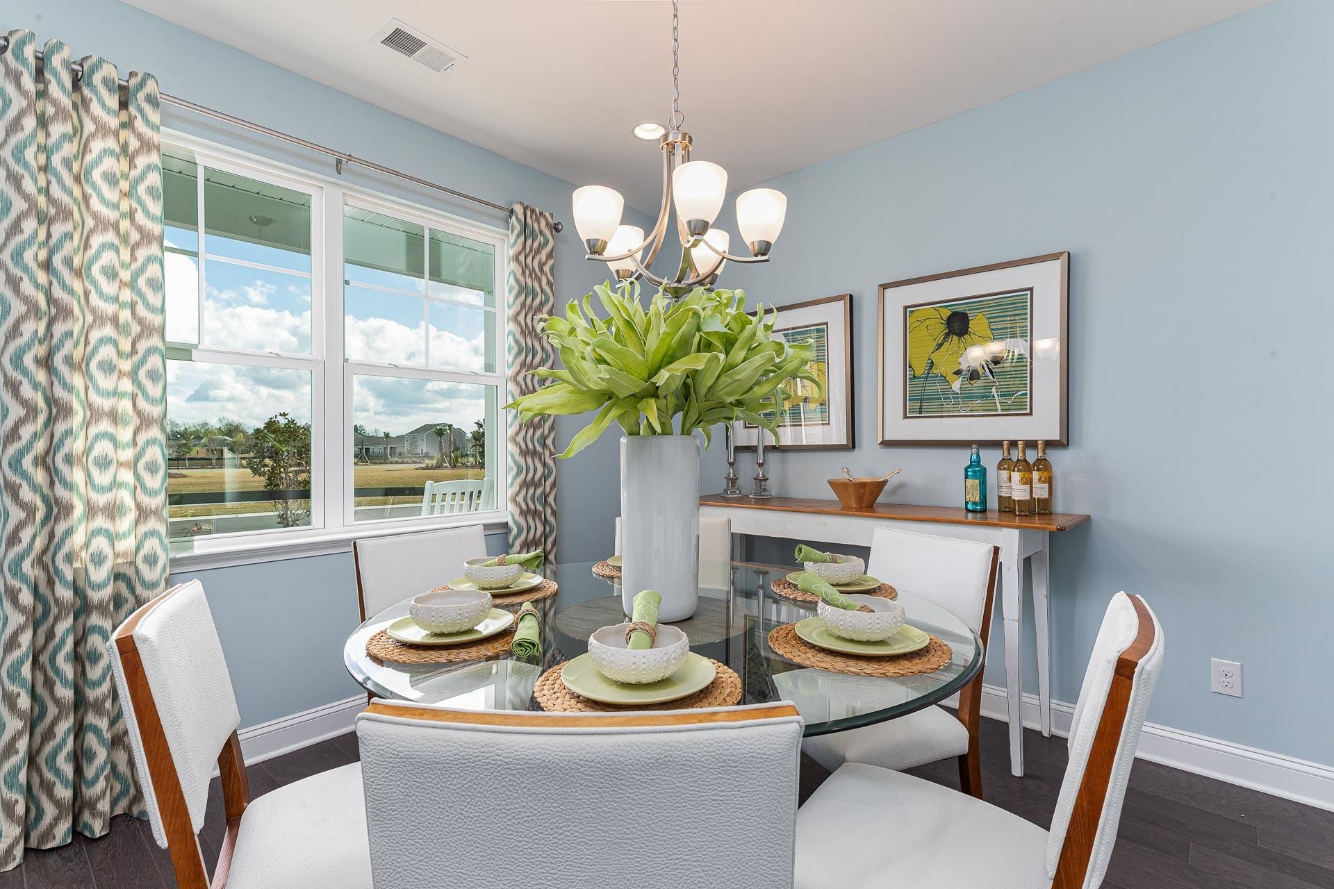 213 Blueberry Fields Ct. Photo 15