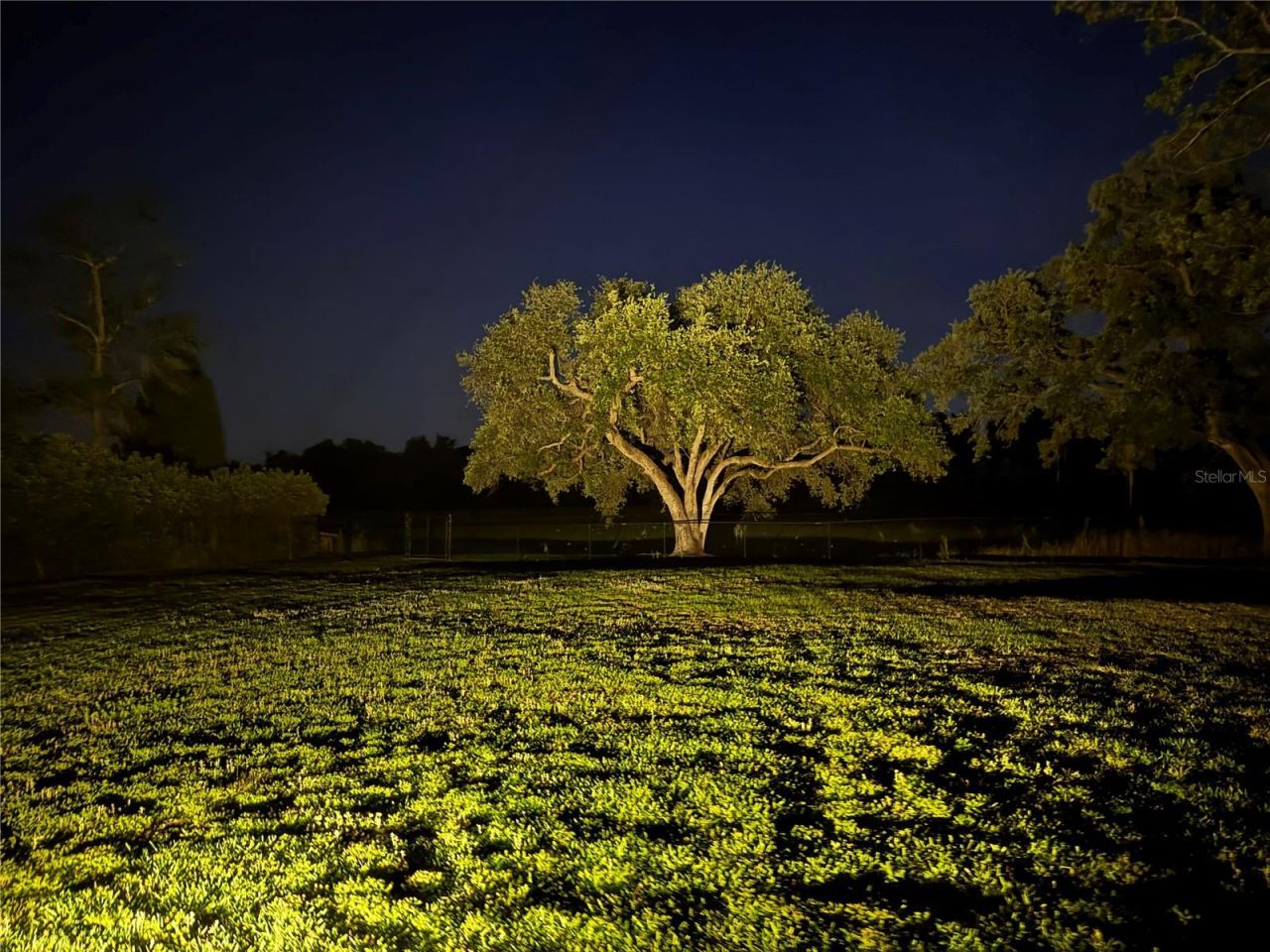 1310 Rolling Woods Lane, Lakeland, FL 33813 Photo