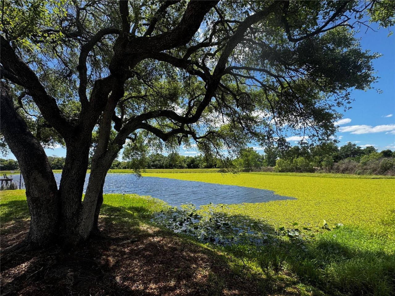 1310 Rolling Woods Lane, Lakeland, FL 33813 Photo