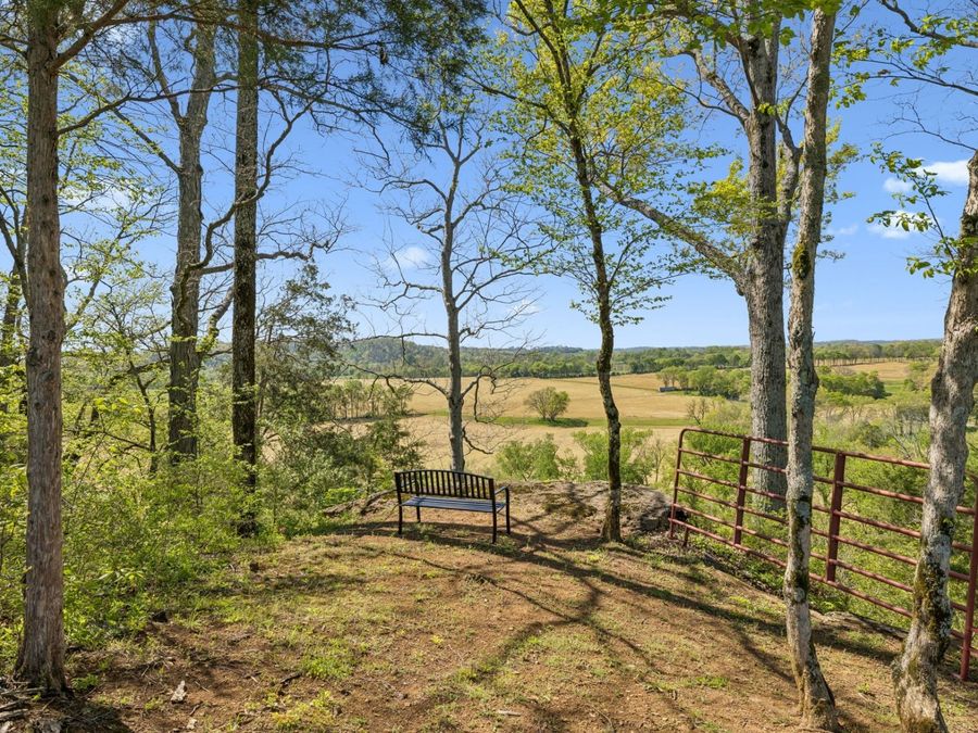 Property Image 62