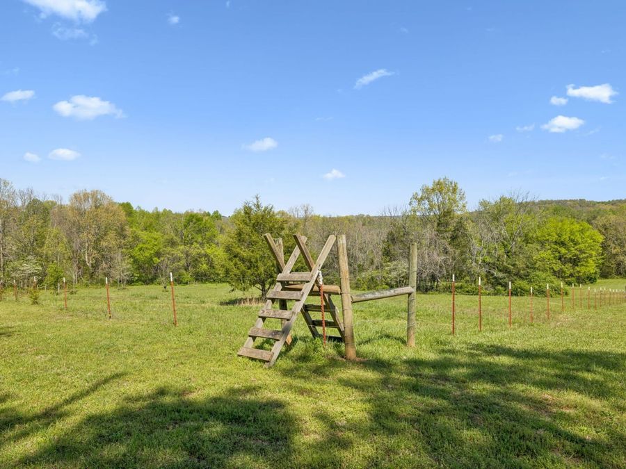 Property Image 69